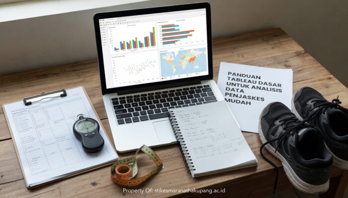 Panduan Tableau Dasar untuk Analisis Data Penjaskes Mudah