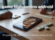 Review Mendalam Game HighDomino Android: Layak Dimainkan?